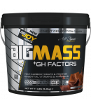 Bigjoy BigMass +Gh Factors Çikolata