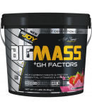 Bigjoy BigMass +Gh Factors Çilek