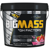 Bigjoy BigMass +Gh Factors