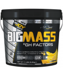 Bigjoy BigMass +Gh Factors Muz