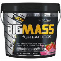 Bigjoy BigMass +Gh Factor 