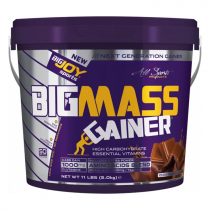 Bigjoy Bigmass Gainer