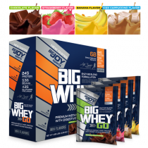 Bigjoy BigWhey Go! Protein