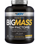 Bigjoy BigMass +Gh Factors Muz