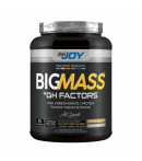 Bigjoy BigMass +Gh Factor  Bisküvi