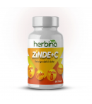Herbina Zinde+C
